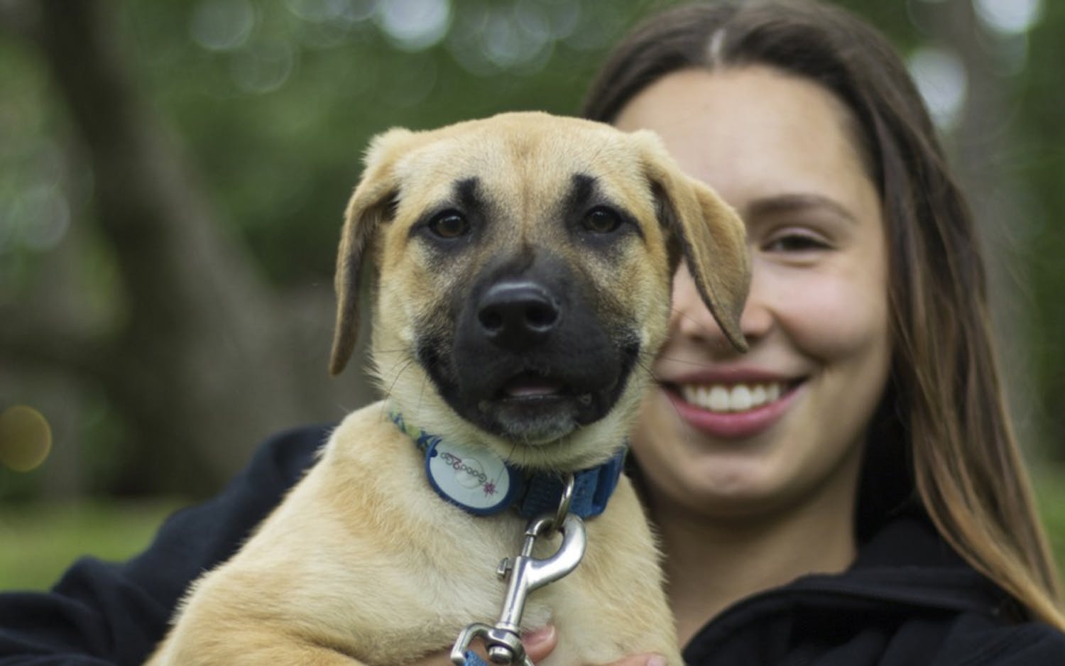 IU senior Heather Lucht and Cher, a 13 week old lab mix, Thursday afternoon at the annual Rent-a-Puppy event in Dunn Meadow.
