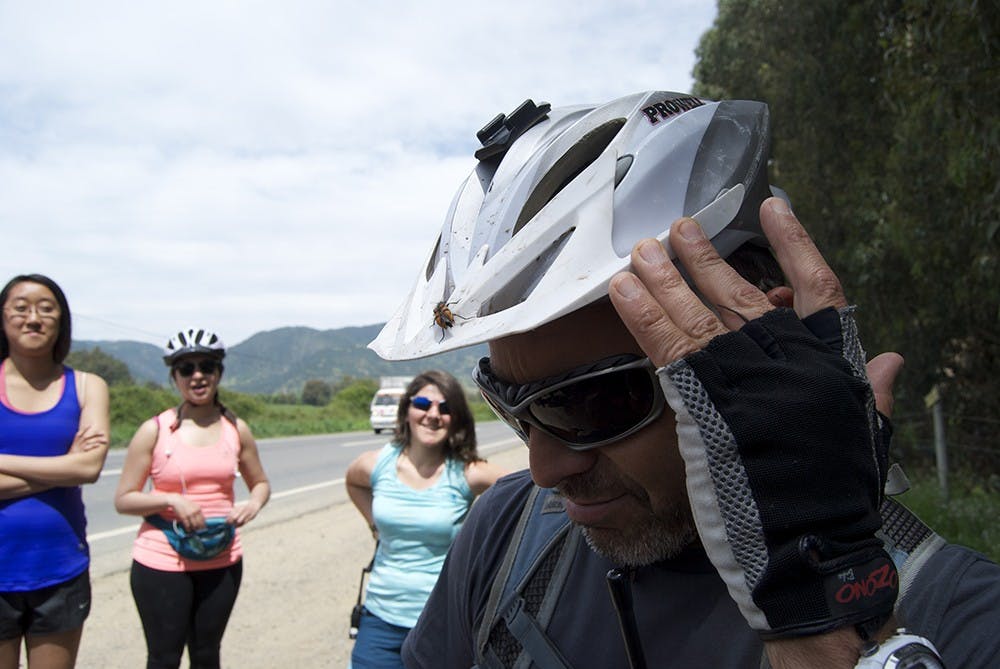  Pablo, our bike tour guide, introduced the group to what Chileans call the "pololo" bug. Pololo means "boyfriend" and the Pololo bug got its name from being annoyingly clingy, like a Chilean pololo, Pablo said. 

