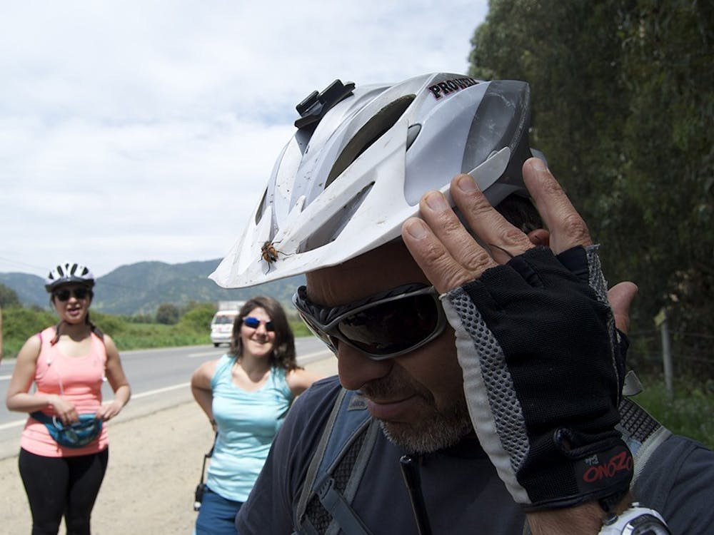  Pablo, our bike tour guide, introduced the group to what Chileans call the "pololo" bug. Pololo means "boyfriend" and the Pololo bug got its name from being annoyingly clingy, like a Chilean pololo, Pablo said. 