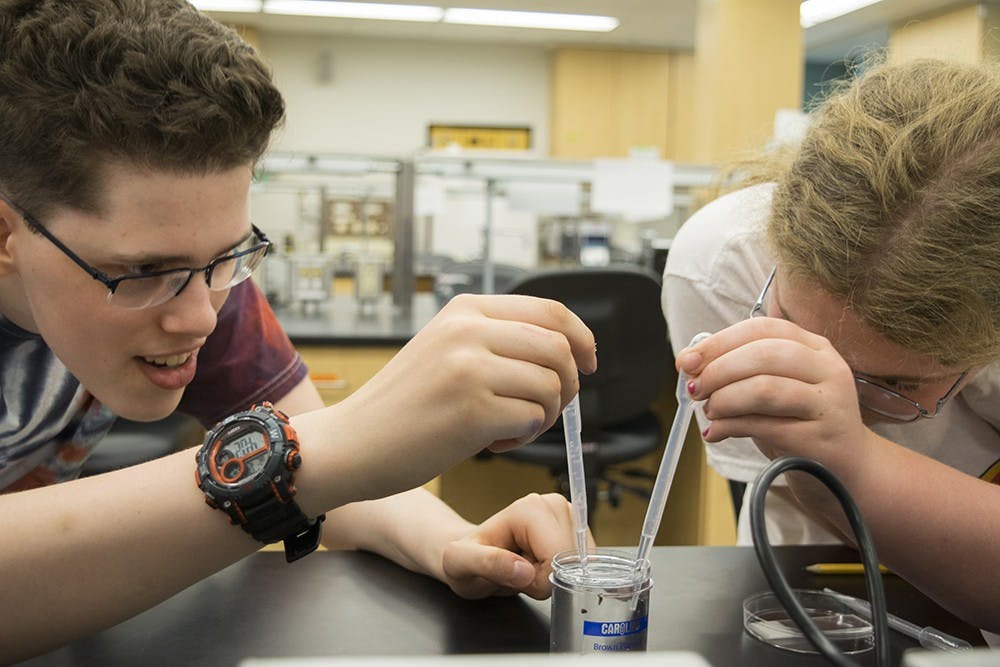 Matthew Crome, 17, and Willow Shoemaker, 12, use pipettes to grab planaria to put under their microscopes during their Wenesday class. Their zoology class meets three times a week.