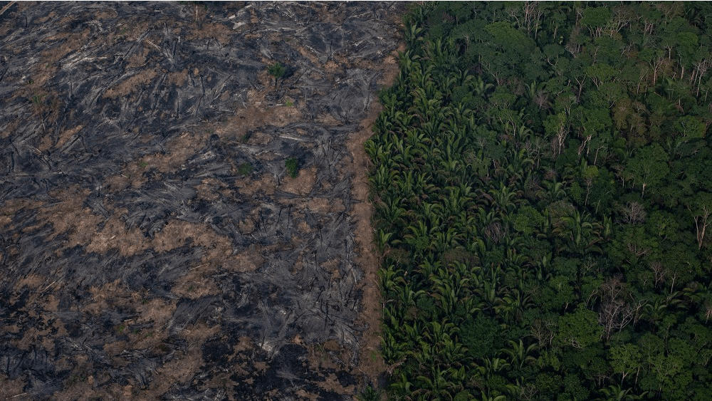 A section of the Amazon rain forest that has been decimated by wild fires is seen Aug. 25, in the Candeias do Jamari region near Porto Velho, Brazil. According to INPE, Brazil&#x27;s National Institute of Space Research, the number of fires detected by satellite in the Amazon region this month is the highest since 2010. 