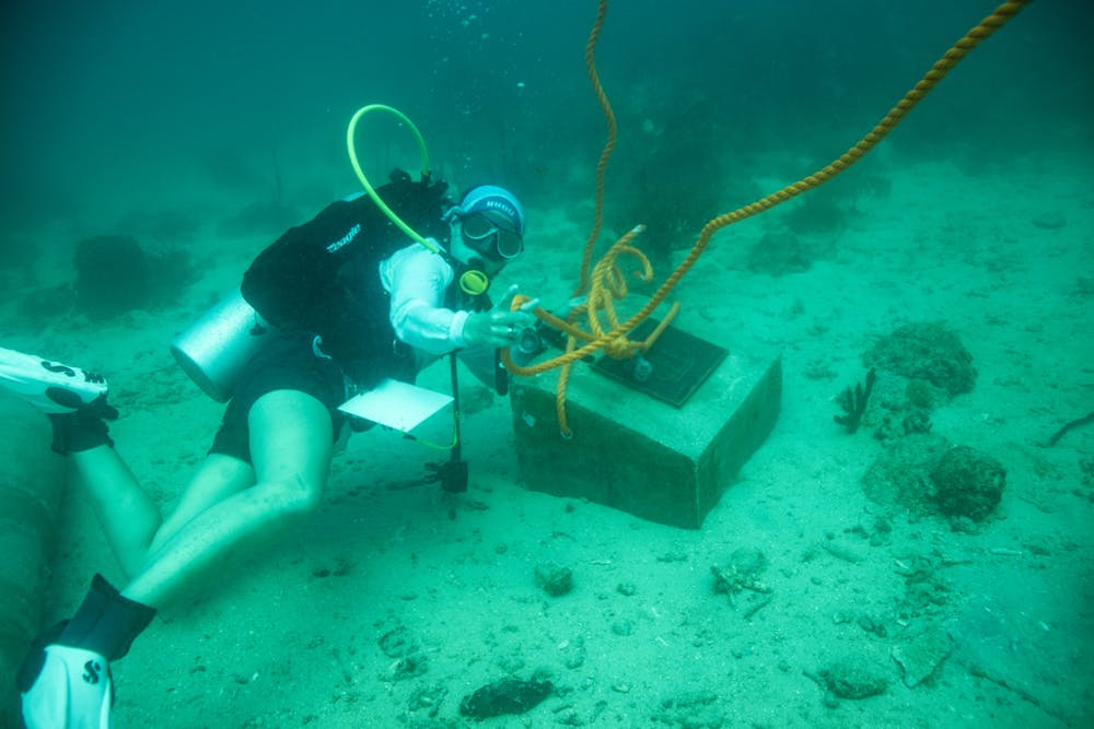 caunderwater120119-2