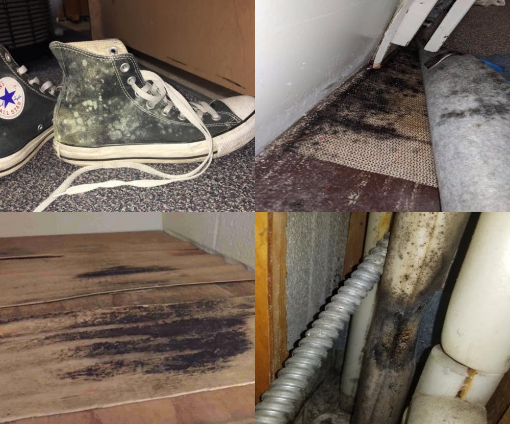 <p>Photos from a court filing show mold in dorm rooms. A number of students who lived in residents halls at the time are suing the trustees of IU after dealing with mold last semester in residence halls across campus. The university&#x27;s Board of Trustees&#x27; attorneys have argued IU has no obligation to provide mold-free housing to students. <br/></p>