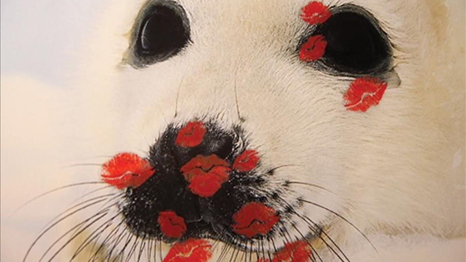 A poster of a seal is covered with "kisses" during the Sealed With a Kiss Kiss-a-thon Feb. 9, 2008 in the Lodge at the corner of Sixth Street and Walnut Avenue. The event was hosted by Revitalizing Animal Well-Being, and was held to bring awareness to the current conditions for seals in Canada.