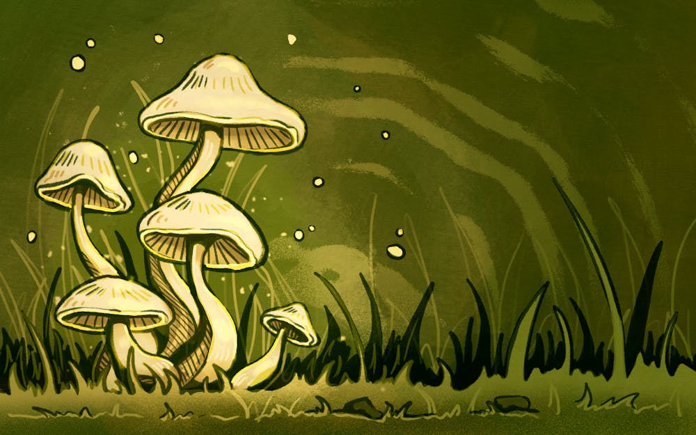 opmushrooms092624-illo