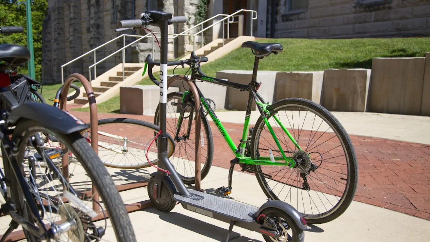 Bird Scooter