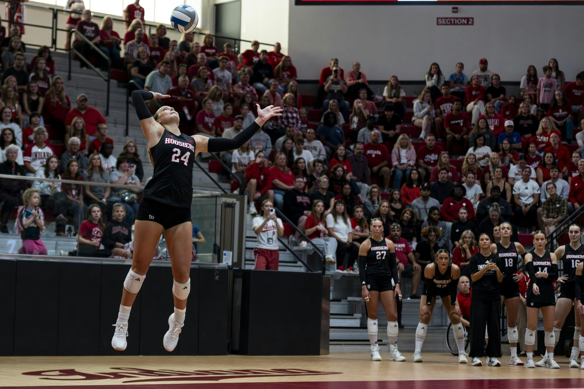 vivolleyball100926_6242.JPG