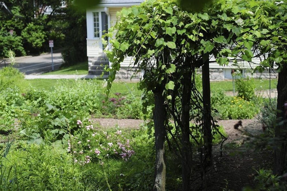 The back garden of IU’s Wylie House Museum, where the Wylie family grew much of their food, sits in the sunlight on June 2, 2010. The museum will give away plant seeds at the Morton C. Bradley Jr. Education Center from 12 to 5 p.m. every Friday in March.
