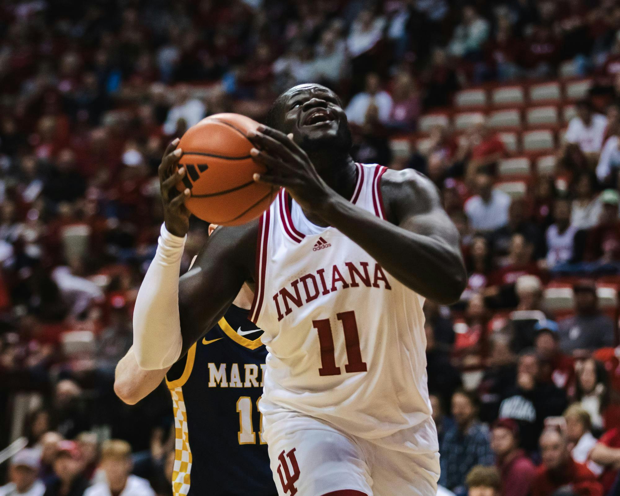 iubb110124-5.jpg