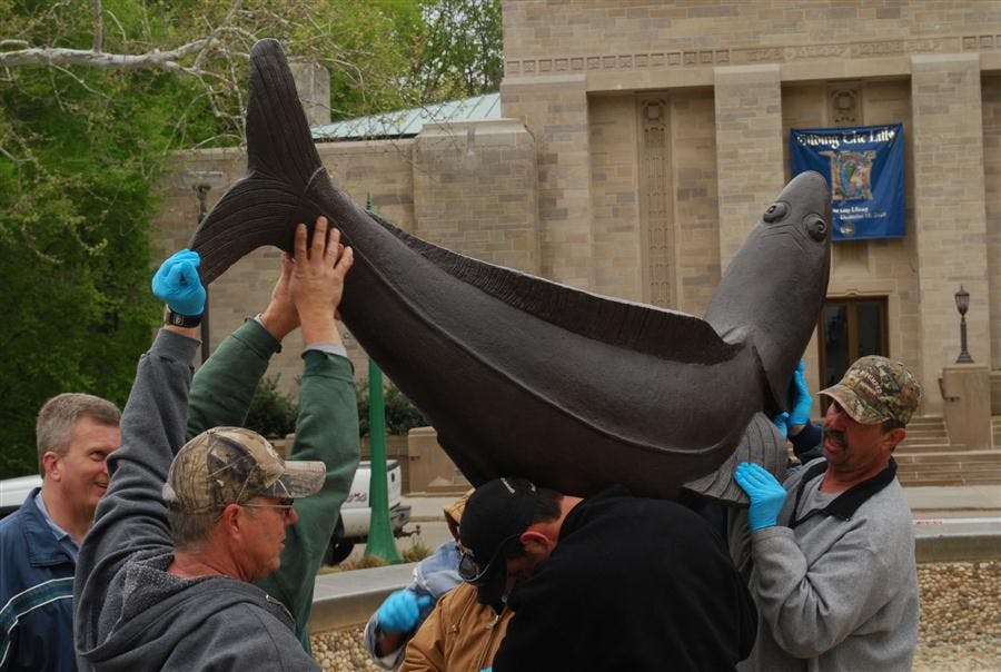 New Showalter fish installed