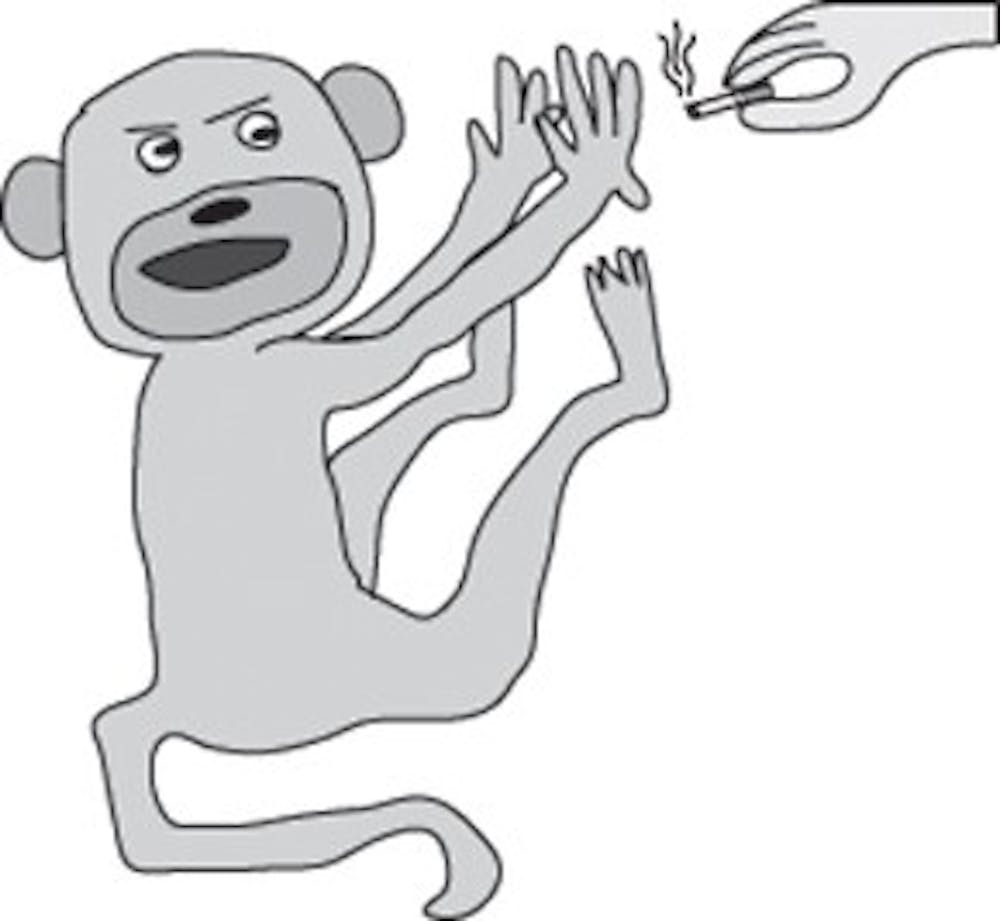 In South Bend it is illegal for an individual to make a monkey smoke a cigarette. This was first brought into notice in 1924, when the accused was to pay a $25 fine.
Illustration by Natalie Avon