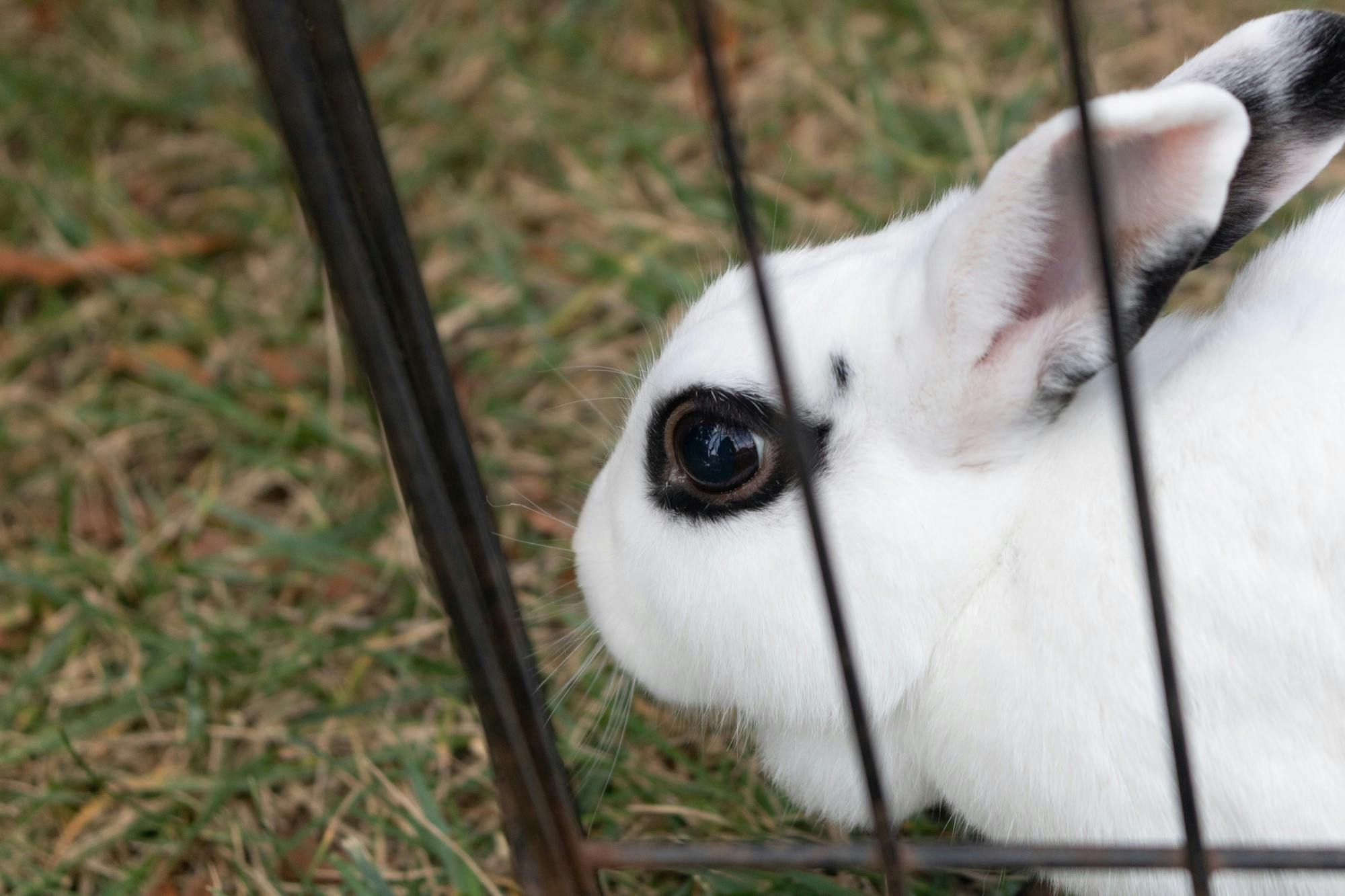 EDA INCEKARA/PHOTOGRAPHY EDITOR