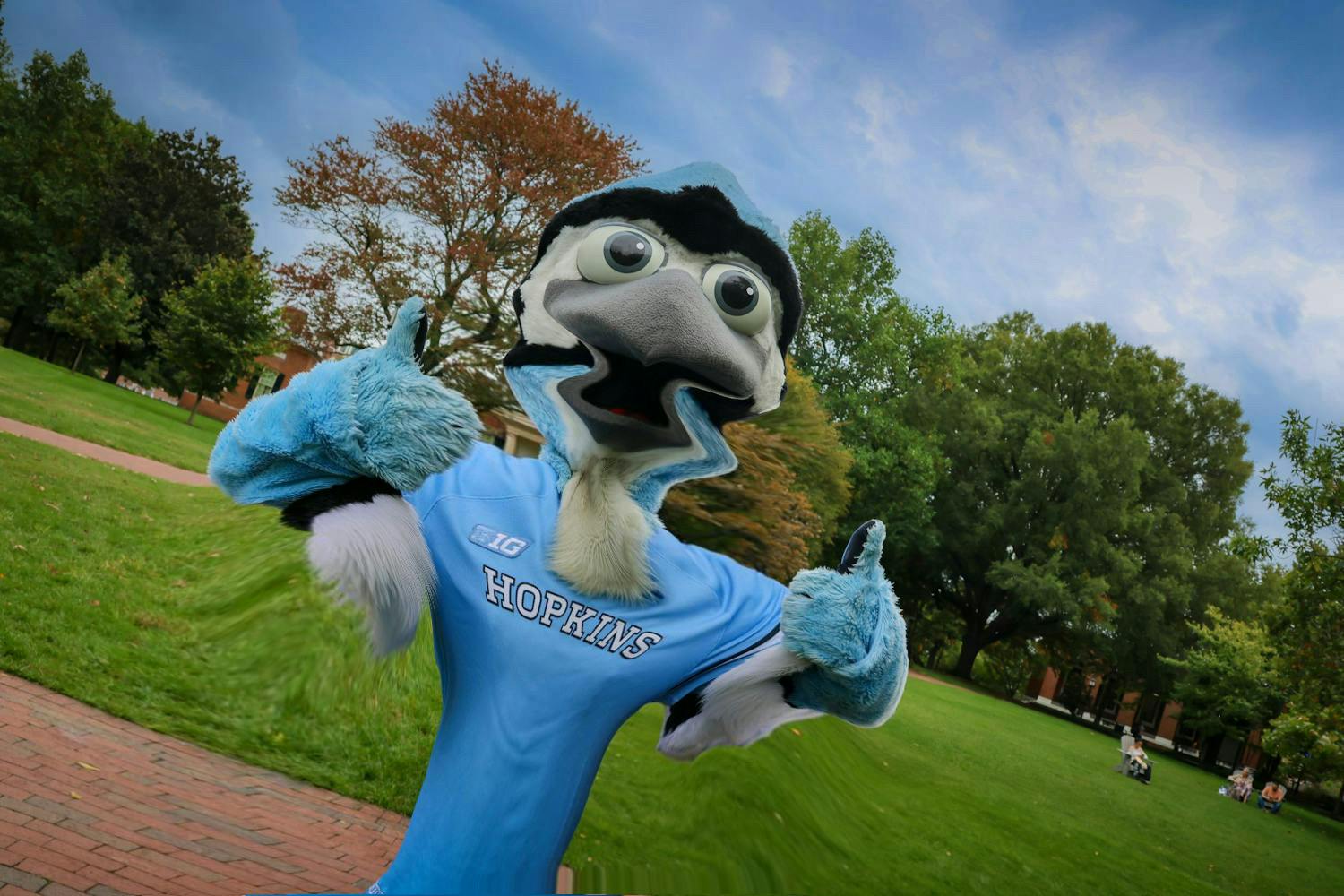 FILE PHOTO
Jay the Blue Jay posed to The News-Letter and referred to himself a “skinny legend.”