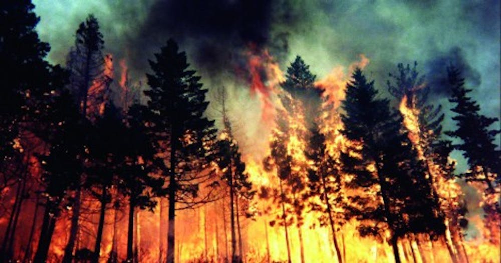 b7_forest-fire-copy