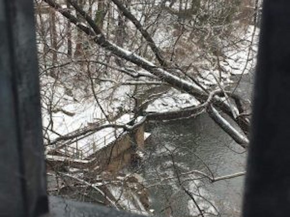COURTESY OF RENEE SCAVONE
A look down while crossing the highway on the way to Druid Hill.