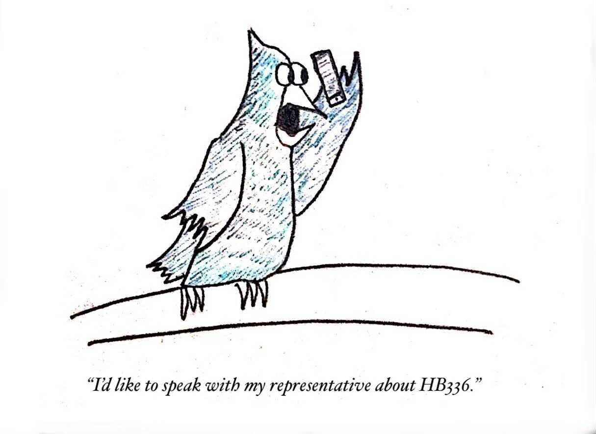 COURTESY OF SHOURYA ARASHANAPALLI