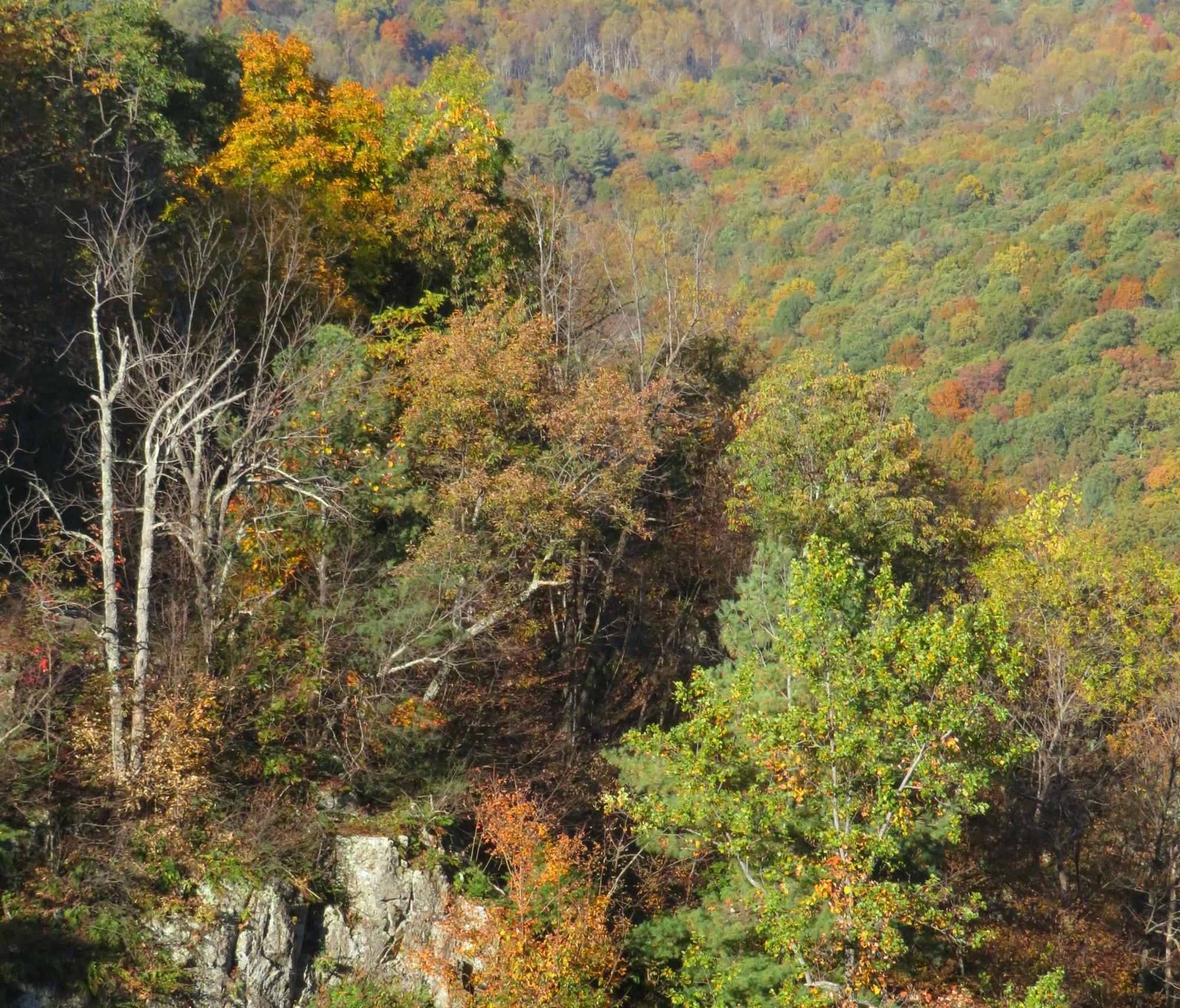 shenandoah national park drone