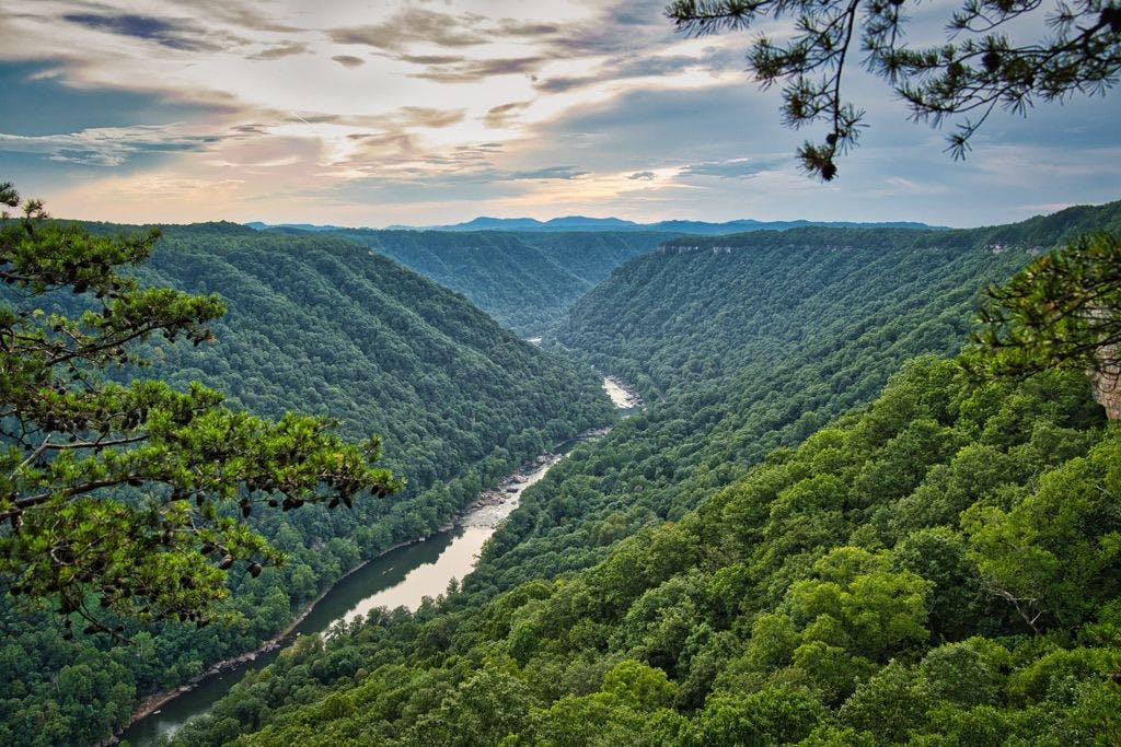COURTESY OF SUDHA YADAV
Yadav overcomes loneliness as an international grad student.