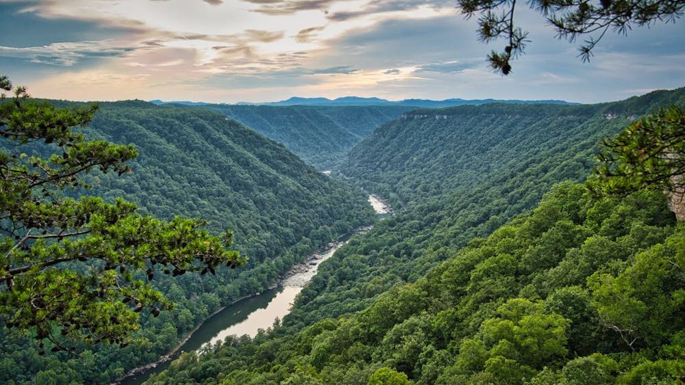 COURTESY OF SUDHA YADAV
Yadav overcomes loneliness as an international grad student.
