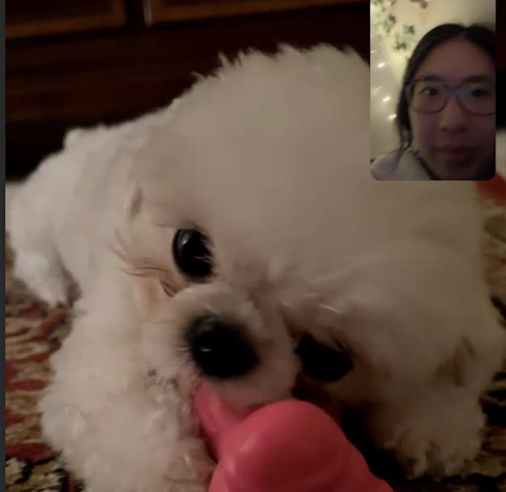 screenshot-2025-12-20-at-3-11-46-pm