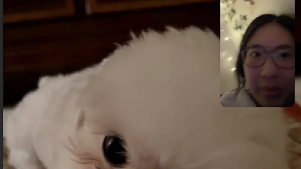 COURTESY OF GRACE WANG
Wang contemplates her experience with anhedonia.