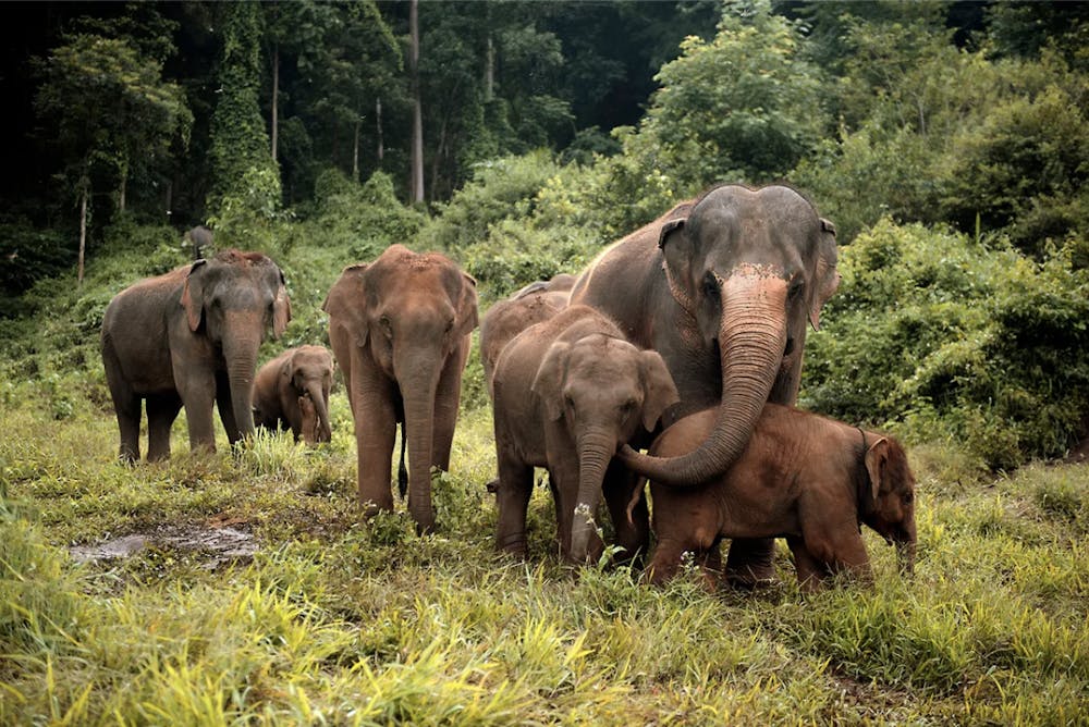 screenshot-2026-03-07-at-5-04-50-pm