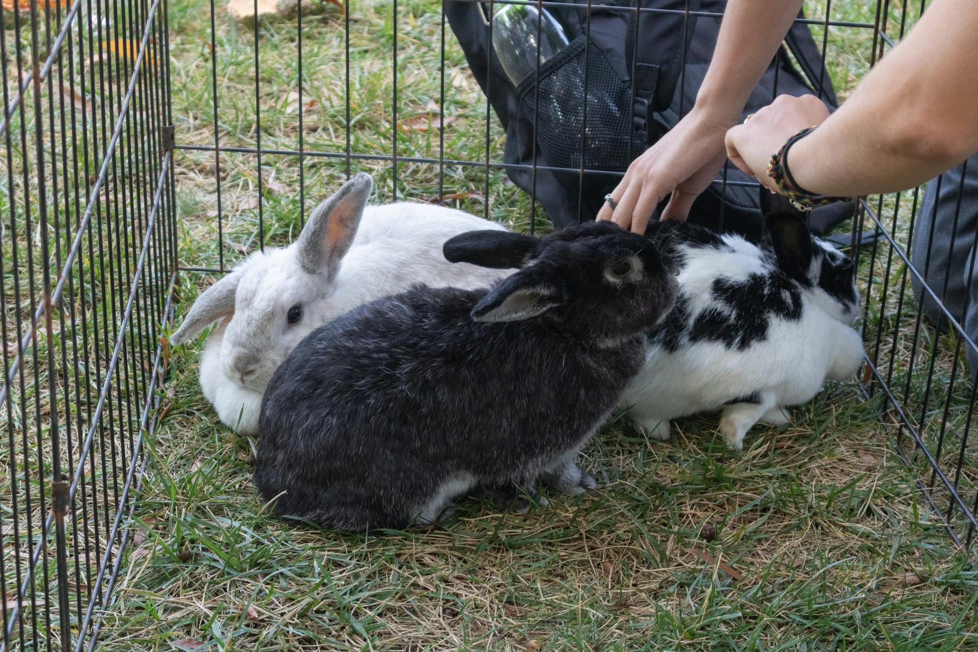 EDA INCEKARA/PHOTOGRAPHY EDITOR