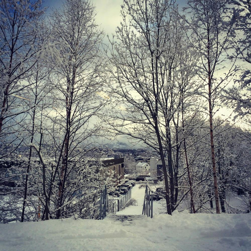 E M/ CC BY-NC-ND 2.0
For me, college is your first snowstorm and wearing a coat in March.