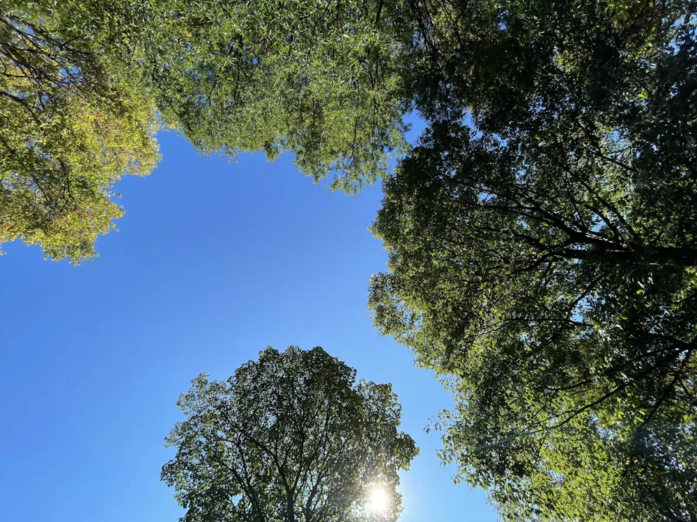 COURTESY OF SOPHIA SEGERSTROM
On her journey to find places to lie down on campus, Segerstrom’s musings weave together the tactical with the introspective. 
