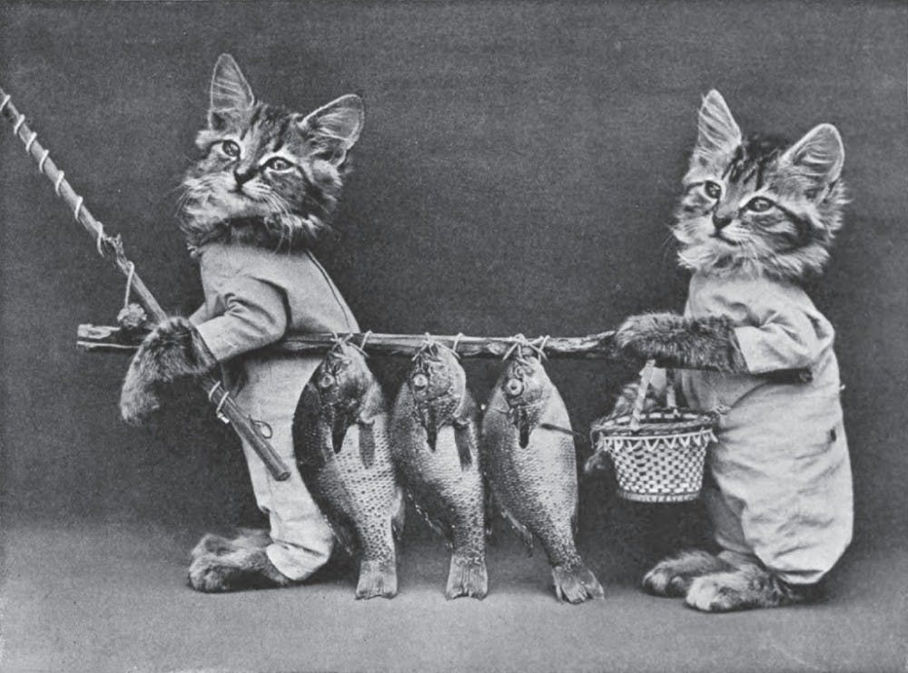  Harry W. Frees/Wikimedia Commons
Two cats carry a line of dead fish. Frees actually staged the kittens with the props and costumes.