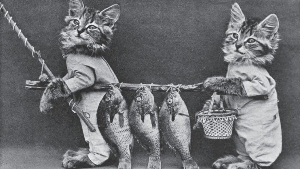  Harry W. Frees/Wikimedia Commons
Two cats carry a line of dead fish. Frees actually staged the kittens with the props and costumes.