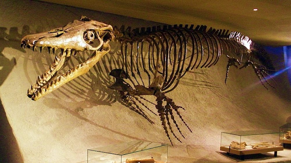 PUBLIC DOMAIN
Mosasaurs lived in the same time period as tyranosaurus.