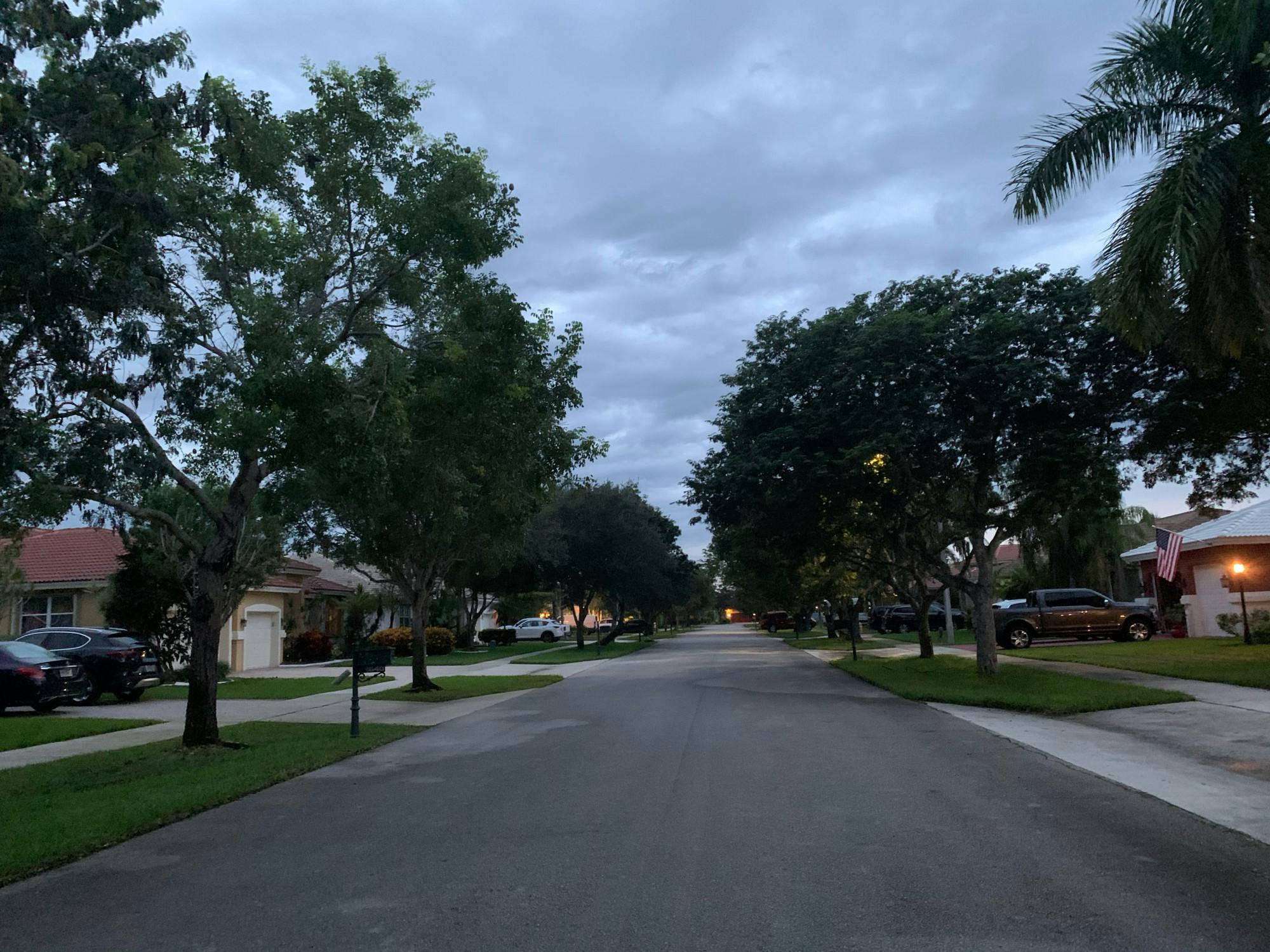 COURTESY OF ABIGAIL TUSCHMAN
Tuschman, a freshman, looks back at the past few months at home.