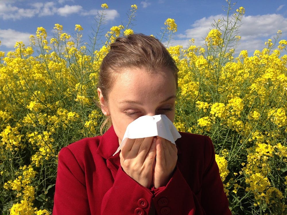 Public domain

Climate change may increase allergies and the duration of the pollen season.