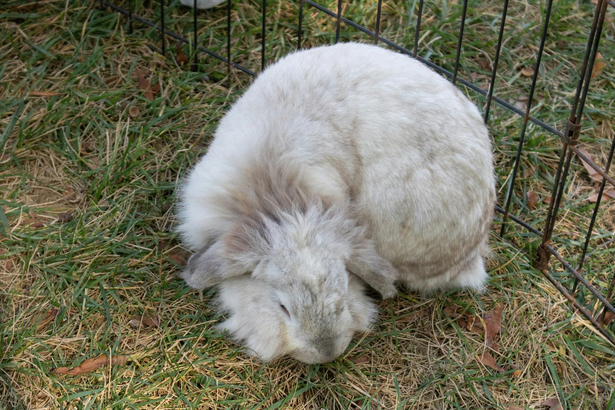 EDA INCEKARA/PHOTOGRAPHY EDITOR