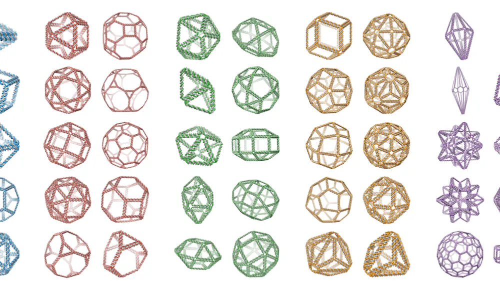 COURTESY OF SAKUL RATANALERT
These are examples of the types of DNA origami nanostructures that can be designed.