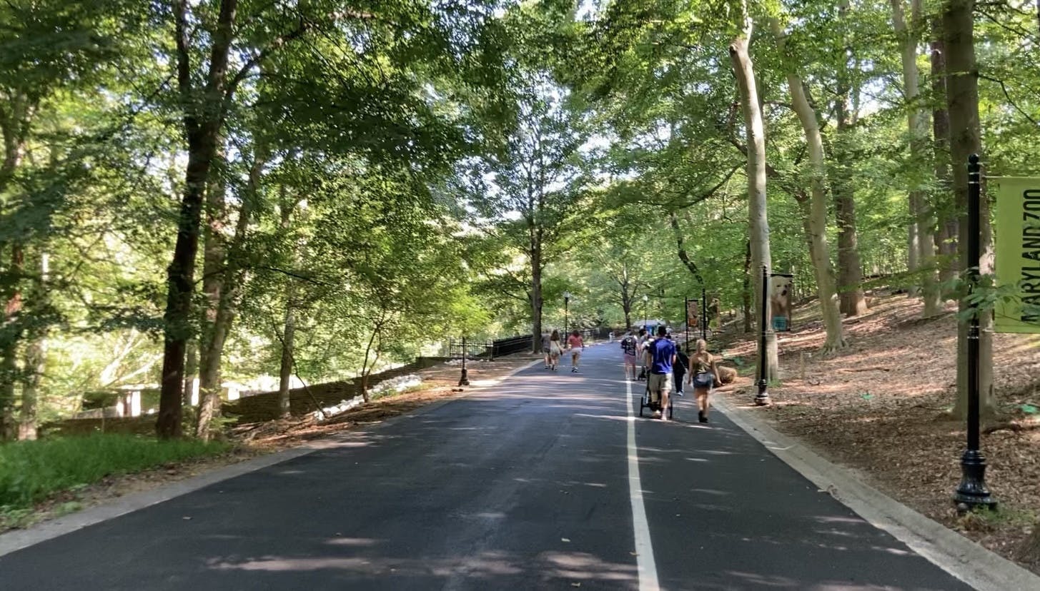 IMAGE COURTESY OF MINGYUAN SONG
There are many great date spots around Baltimore. You just have to know where to look!