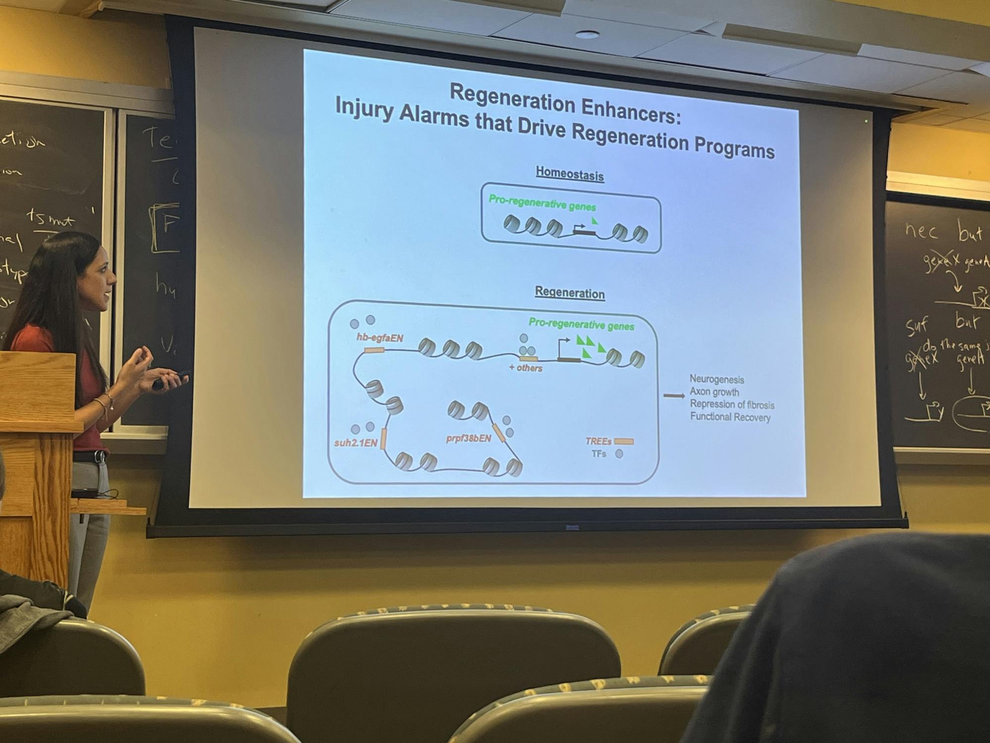 COURTESY OF THANSI GARIKIPATI
Cigliola discussed zebrafish spinal regeneration and its applicability to humans on Sept. 18.