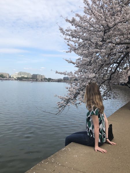 Don't forget to stop and smell the blossoms at D.C.'s National Cherry  Blossom Festival - The Johns Hopkins News-Letter