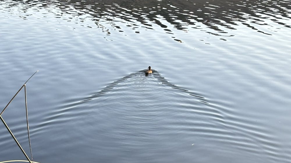 COURTESY OF EESHA BELLAD
Just a duck on the water, unbothered. A reminder that peace isn’t found, it’s created.