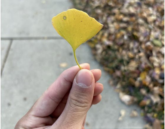 COURTESY OF JASON CHANG
Chang contemplates how a life might be paced.