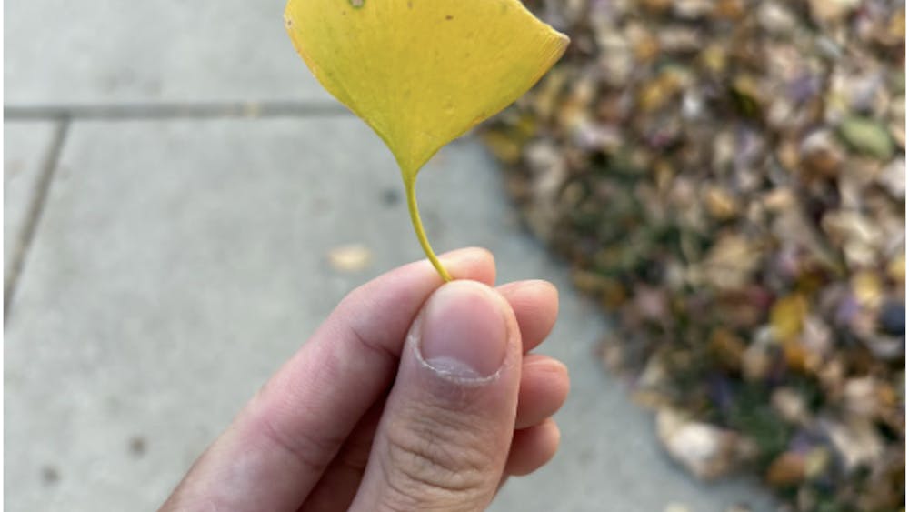 COURTESY OF JASON CHANG
Chang contemplates how a life might be paced.