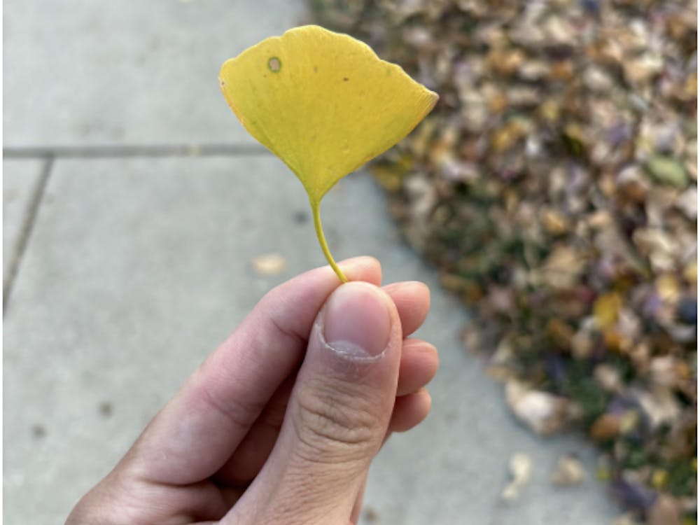 COURTESY OF JASON CHANG
Chang contemplates how a life might be paced.