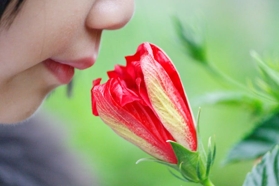 COURTESY OF DENNIS WONG / CC BY 2.0
Student organization members reflect on how the University and Hopkins’ student body can better engage with sustainable practices.