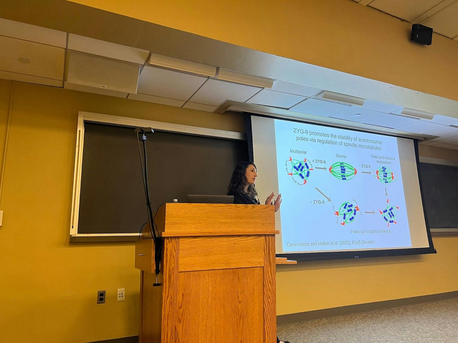 COURTESY OF WILSON HUANG
Sadie Wignall, a professor at Northwestern University, delves into the secrets of spindle formation in acentrosomal oocytes in her seminar at Hopkins.