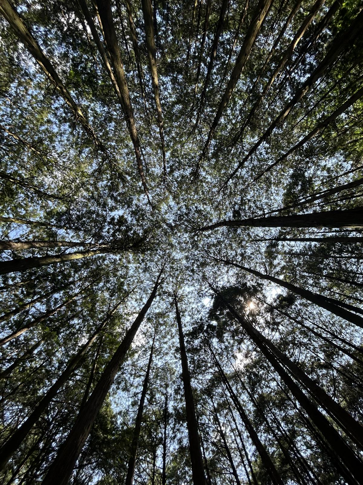 COURTESY OF JAMIE KIM
Kim reflects on how her understanding of what it means to be an adult has changed over time.&nbsp;