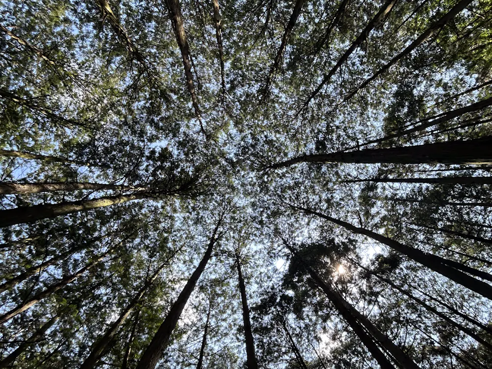 COURTESY OF JAMIE KIM
Kim reflects on how her understanding of what it means to be an adult has changed over time. 