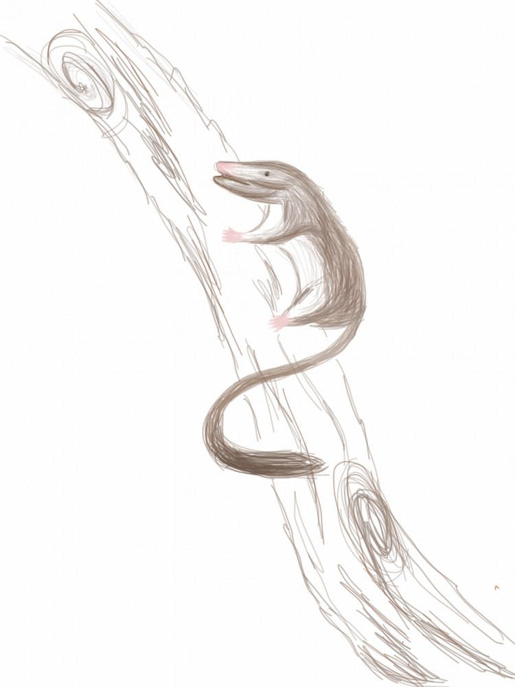 JANSON TRIEU/GRAPHICS EDITOR