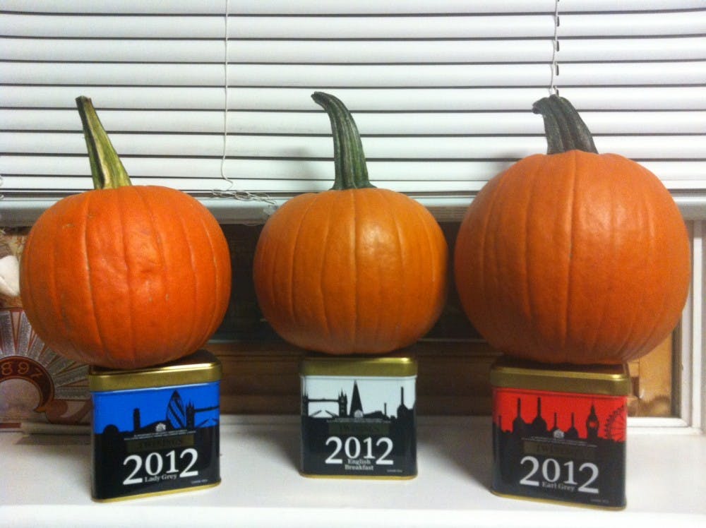 Courtesy of Jesica dawson
Round, shiny Fall Fest Pumpkins all in a row celebrate the feeling of the season