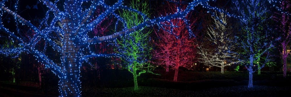 COURTESY OF WWW.UCNSB.ORG
Despite the over-consumption typical of the holiday season, there are ways to be eco-conscious. For example, Christmas lights come in the LED variety.